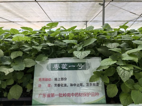 非凡娱乐(中国游)官方网站